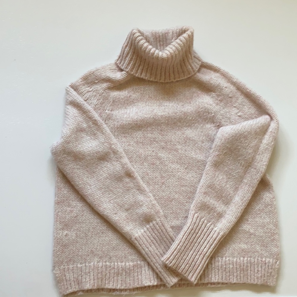 J.Crew Turtleneck Sweater